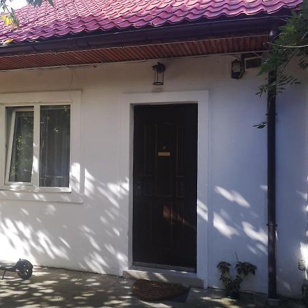 Casa Miron Unirii 3Strada Matei Corvin Apartament Timisoara Luaran gambar